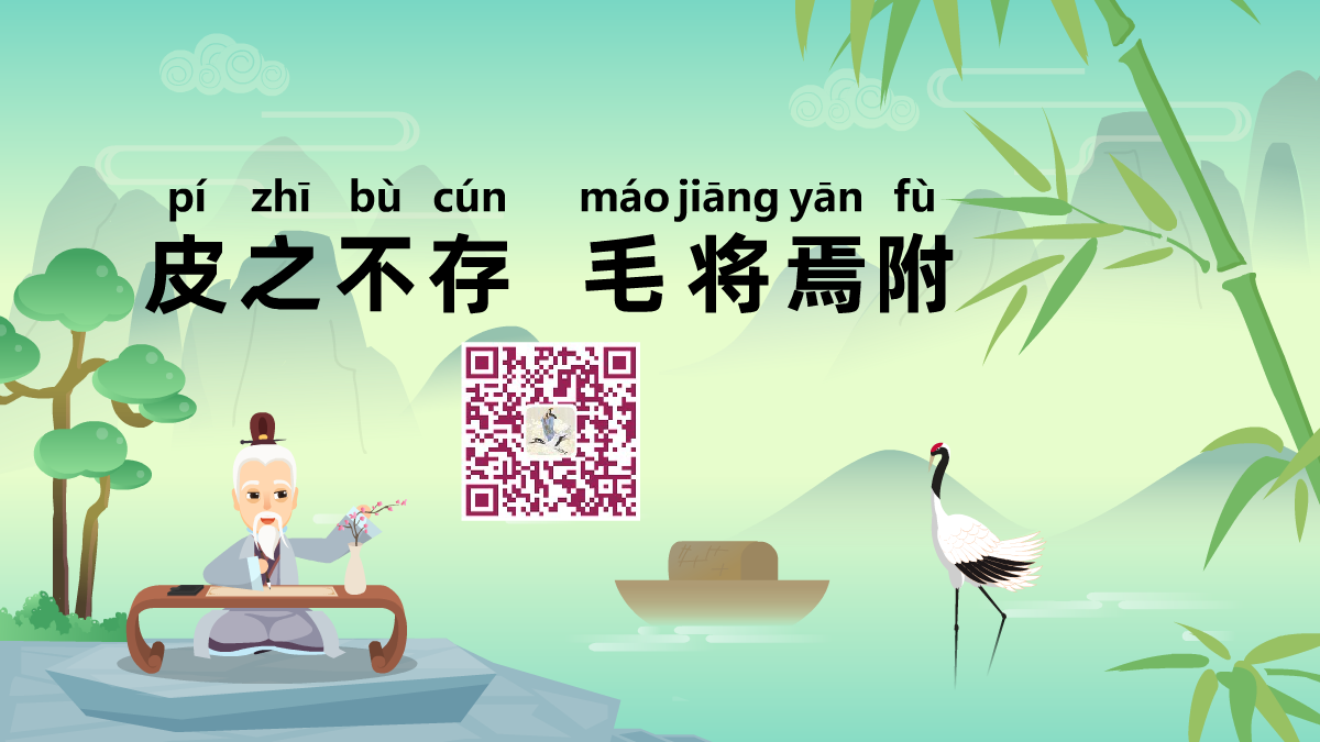 皮之不存，毛將焉附1200.png