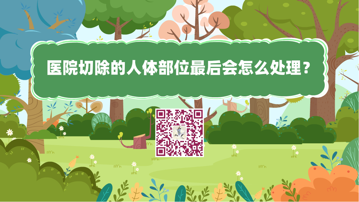 十萬個為什么標(biāo)題（醫(yī)院切除的人體部位最后會怎么處理？）1200.png