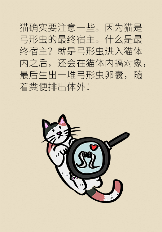 懷孕了不能養(yǎng)貓狗？別再信這些謠言了