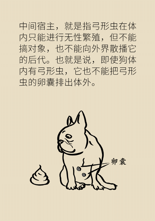 懷孕了不能養(yǎng)貓狗？別再信這些謠言了