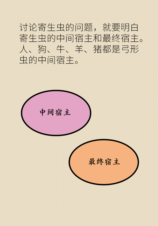 懷孕了不能養(yǎng)貓狗？別再信這些謠言了