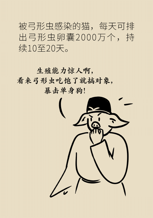 懷孕了不能養(yǎng)貓狗？別再信這些謠言了