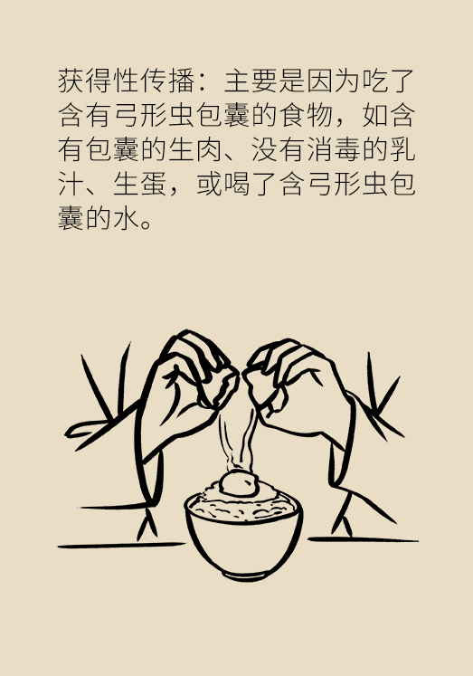 懷孕了不能養(yǎng)貓狗？別再信這些謠言了