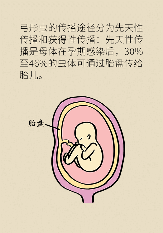 懷孕了不能養(yǎng)貓狗？別再信這些謠言了