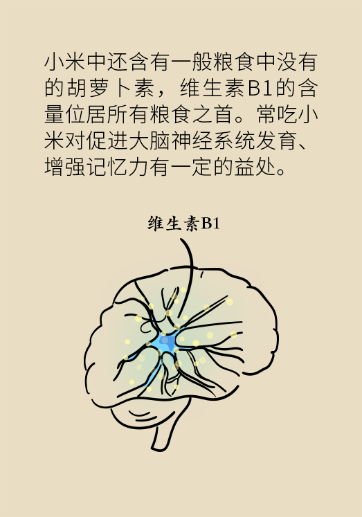 小米黃豆豬蹄怎么做才健康？