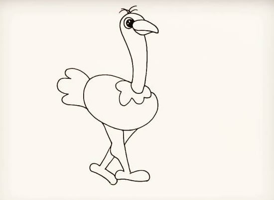 鴕鳥(niǎo)簡(jiǎn)筆畫彩色可愛(ài)步驟圖解