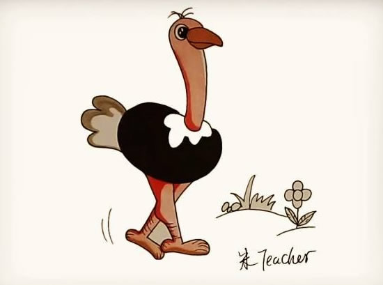 鴕鳥(niǎo)簡(jiǎn)筆畫彩色可愛(ài)步驟圖解