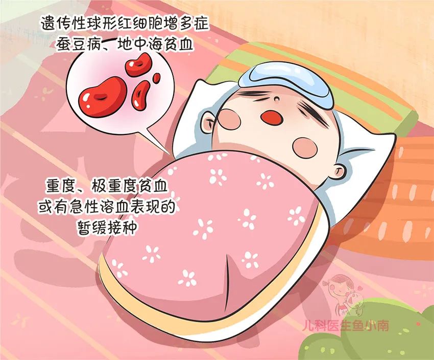 育兒動(dòng)畫制作公司