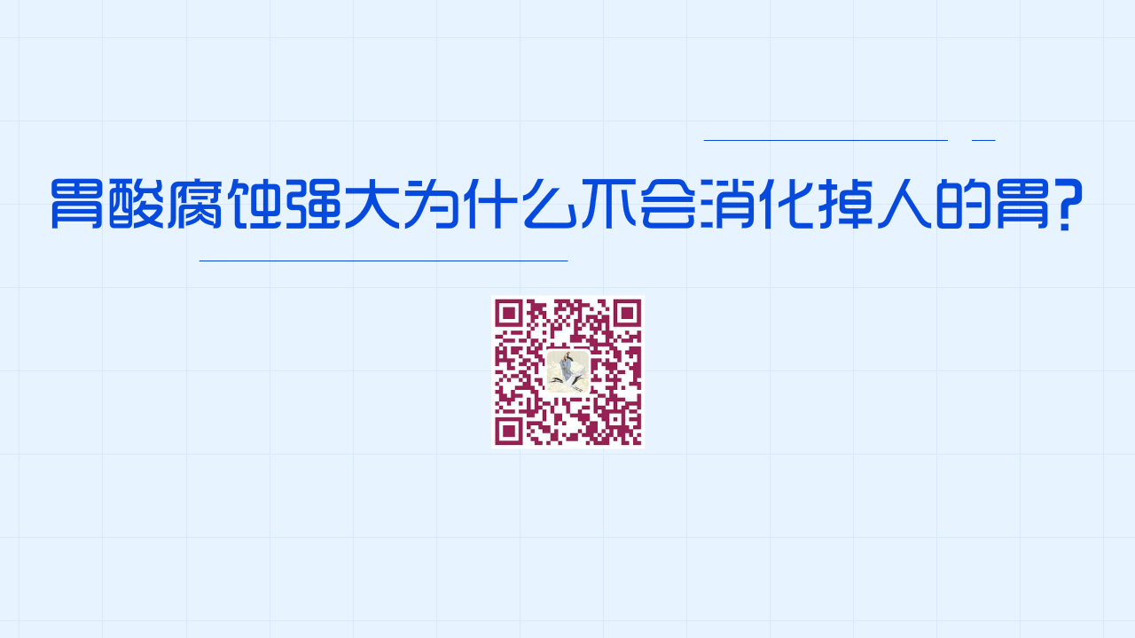 胃酸腐蝕能力強大為什么不會消化掉人的胃？1200.jpg