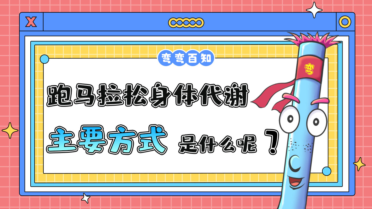 跑馬拉松身體代謝的主要方式是什么呢？.jpg