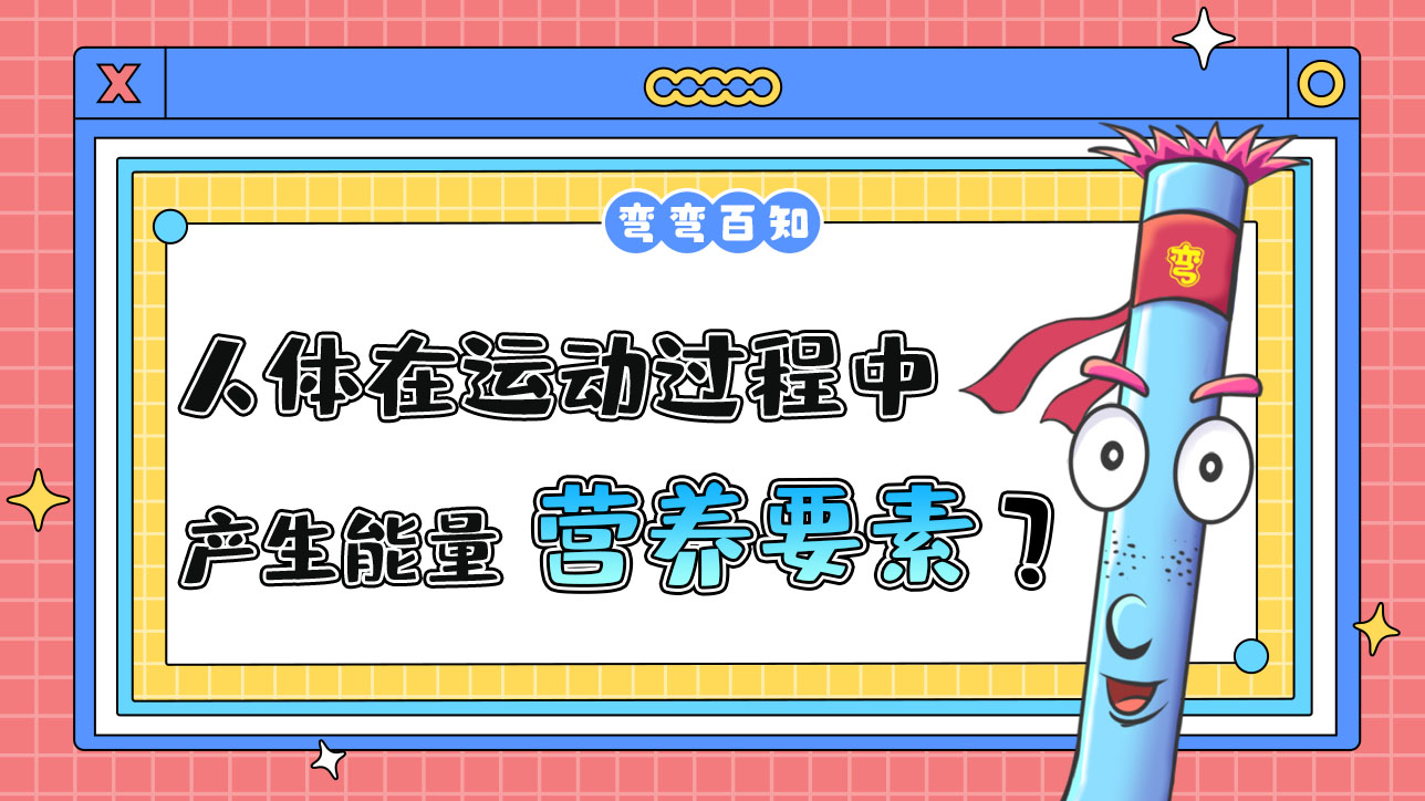 人體在運動過程中產(chǎn)生能量的營養(yǎng)要素有幾種？.jpg
