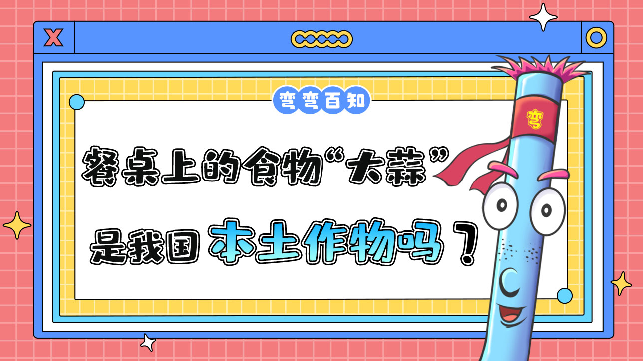 餐桌上的常見食物“大蒜”是我國本土作物嗎？.jpg