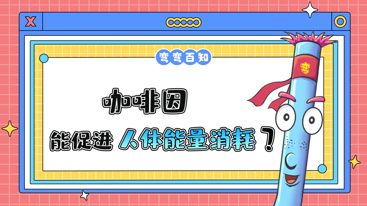 咖啡因能促進(jìn)人體的能量消耗嗎？.jpg