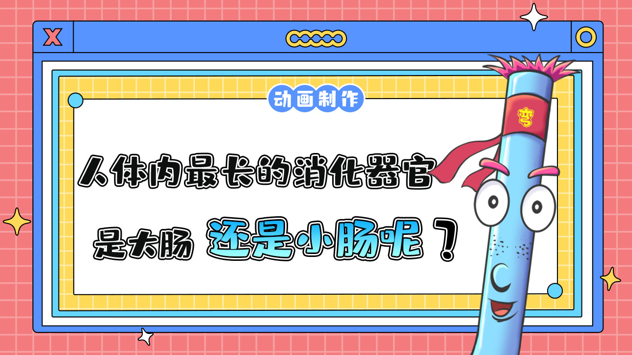 人體內(nèi)最長的消化器官是大腸還是小腸？.jpg