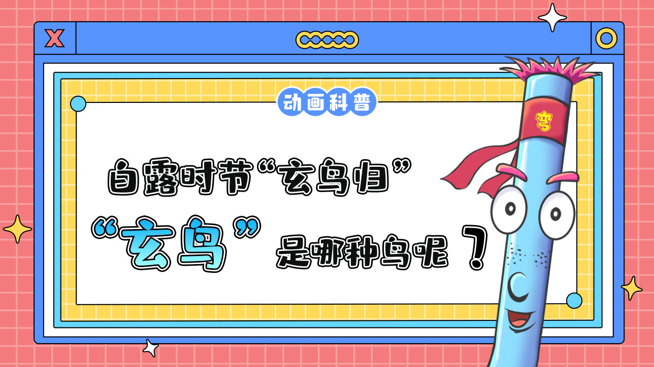 白露時節(jié)“玄鳥歸”，“玄鳥”是哪種鳥呢？.jpg