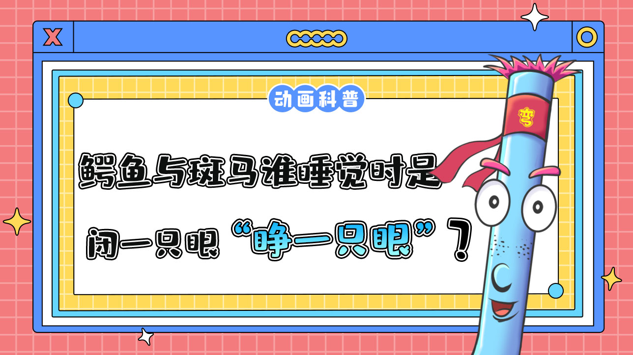 鱷魚(yú)與斑馬誰(shuí)睡覺(jué)時(shí)是“睜一只眼閉一只眼”？.jpg