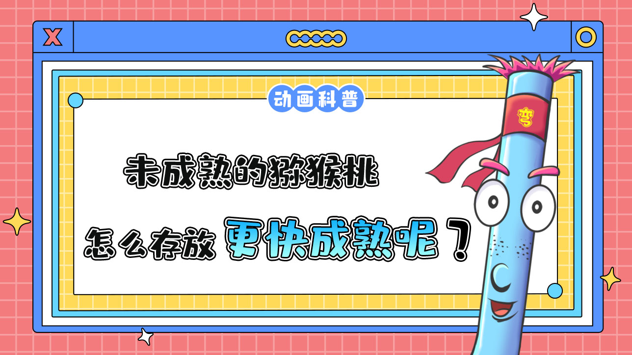 未成熟的獼猴桃怎么存放能更快成熟呢？.jpg