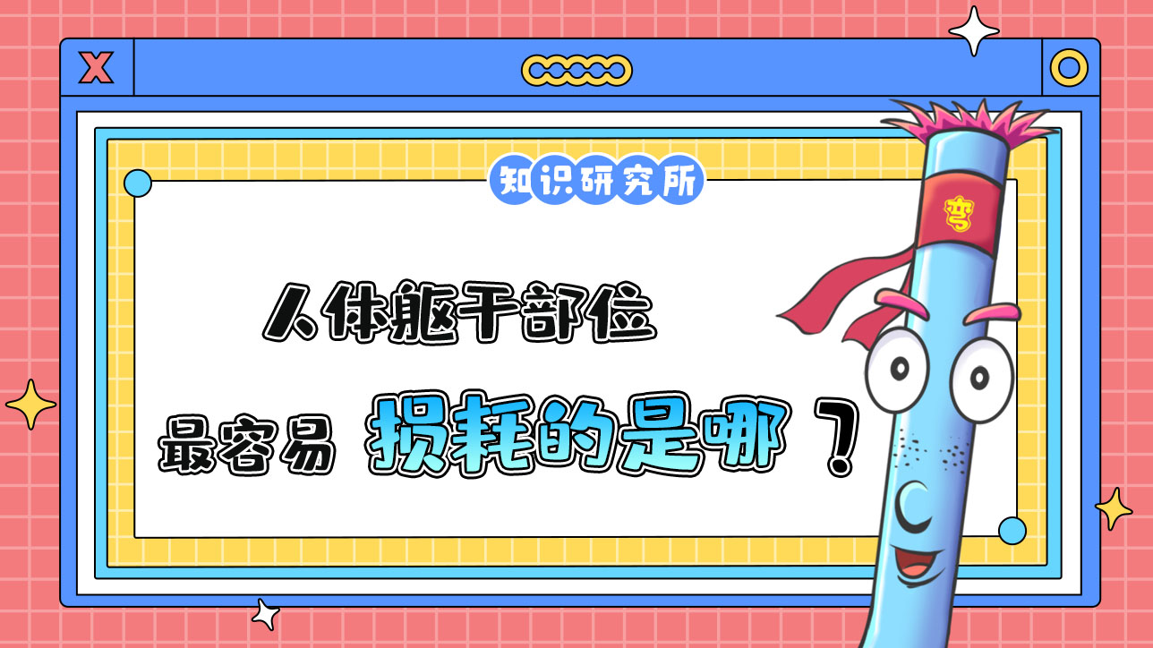 人體軀干部位最容易損耗的是？.jpg