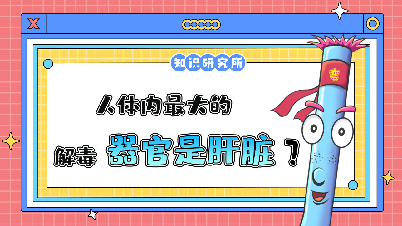 人體內最大的解毒器官是肝臟？.jpg