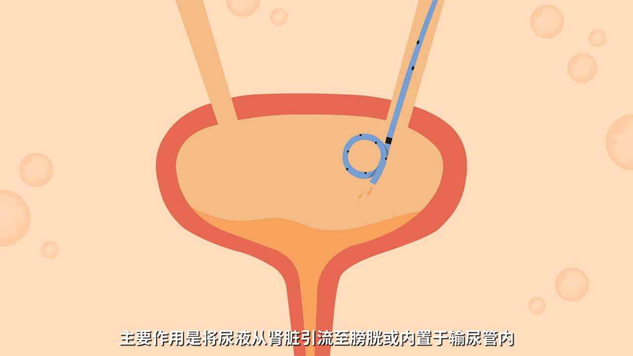 如何制作動(dòng)畫視頻教程.jpg